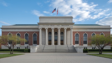 ellen nol art museum